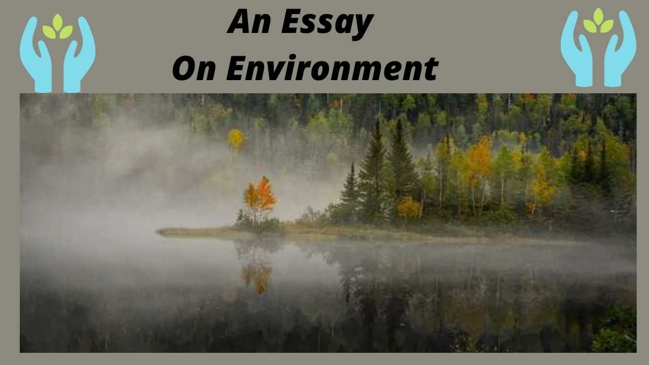 an essay on environment