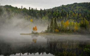 an essay on environment