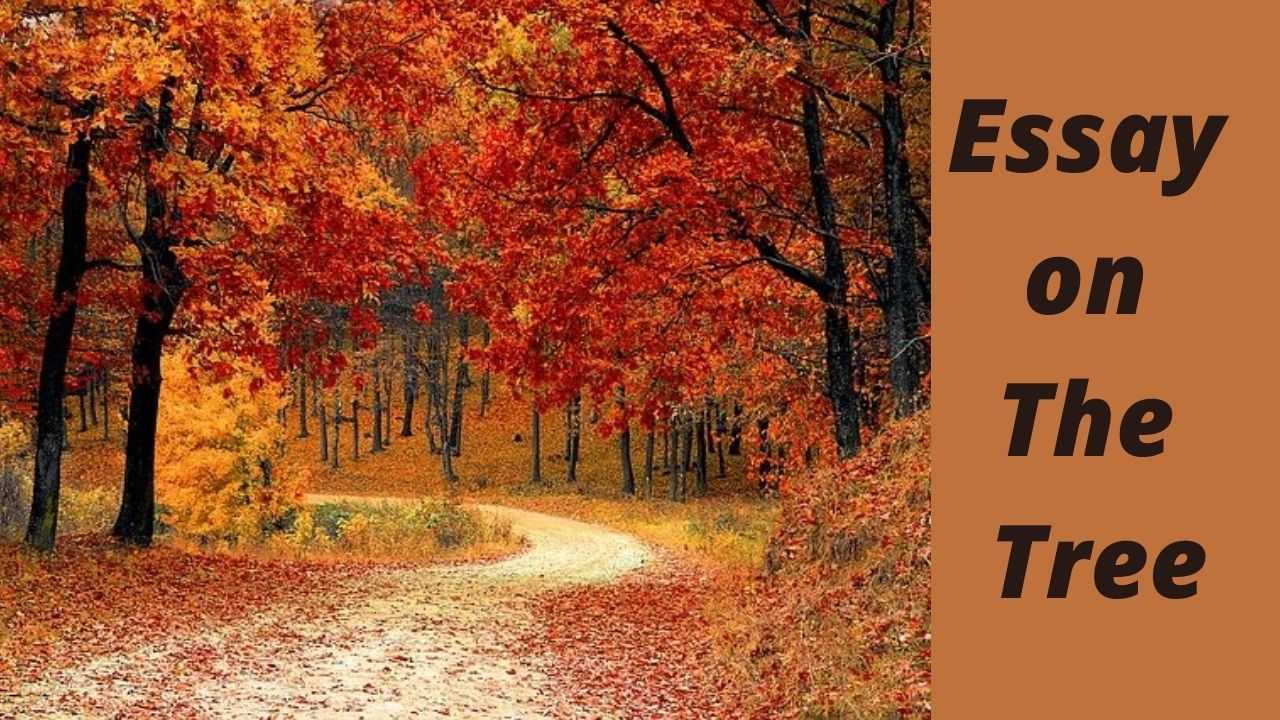 essay on the tree