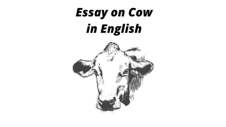 essay on cow in english