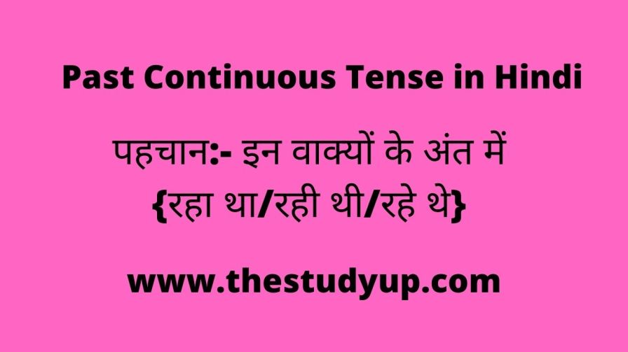 Past Continuous Tense in Hindi