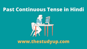 past continuous tense in hindi