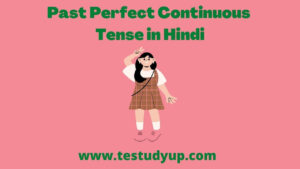 past perfect continuous tense in hindi