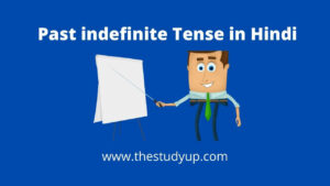 past indefinite tense in hindi