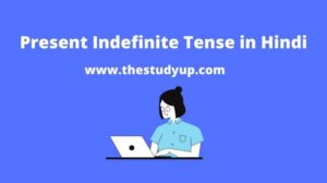 Present Indefinite Tense in Hindi