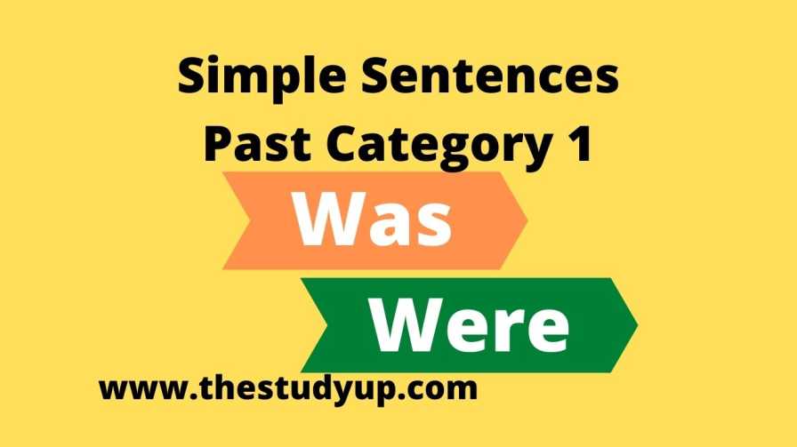 simple sentences past category 1