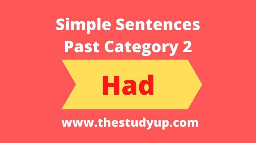 simple sentences past category 2