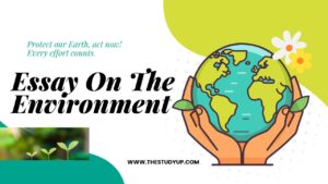 Essay On The Environment