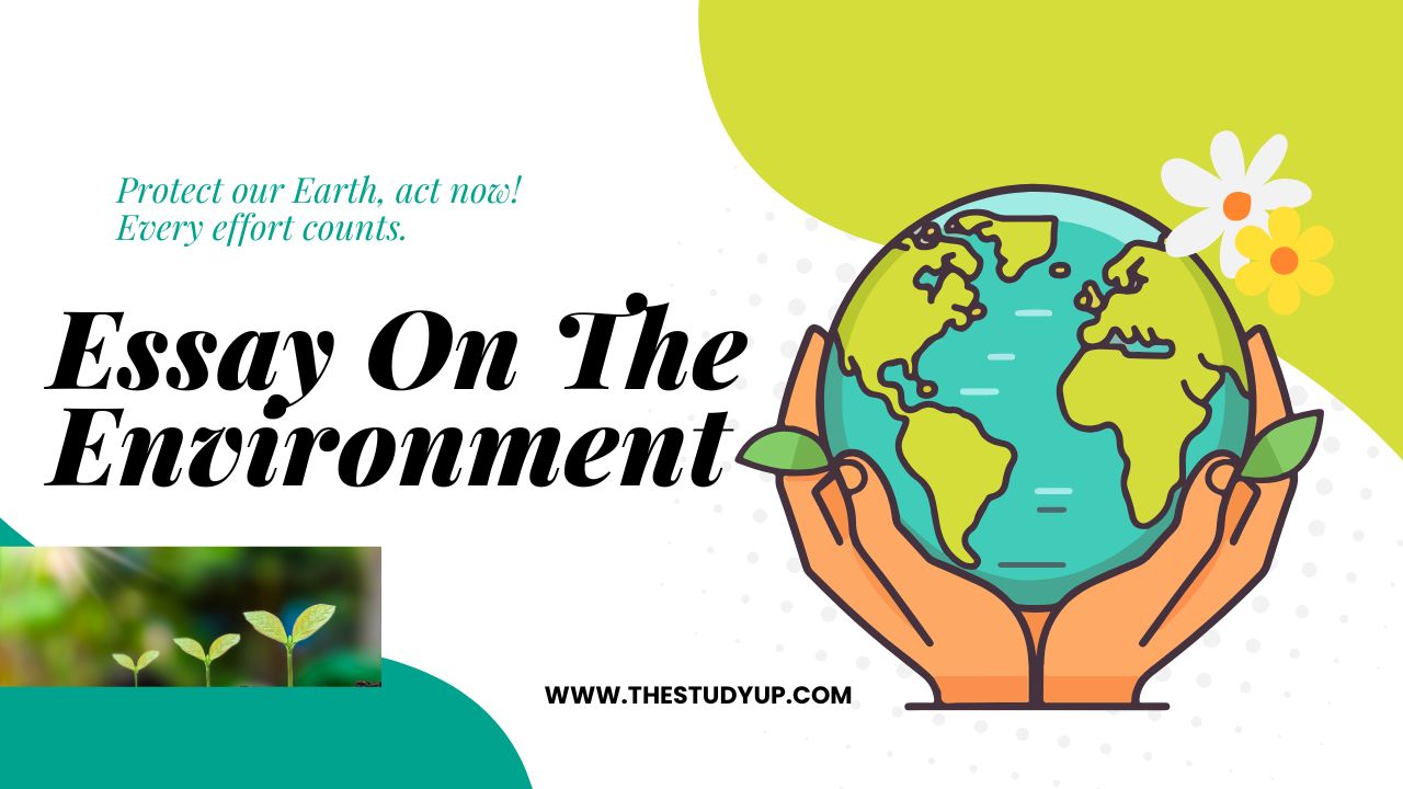 Essay On The Environment